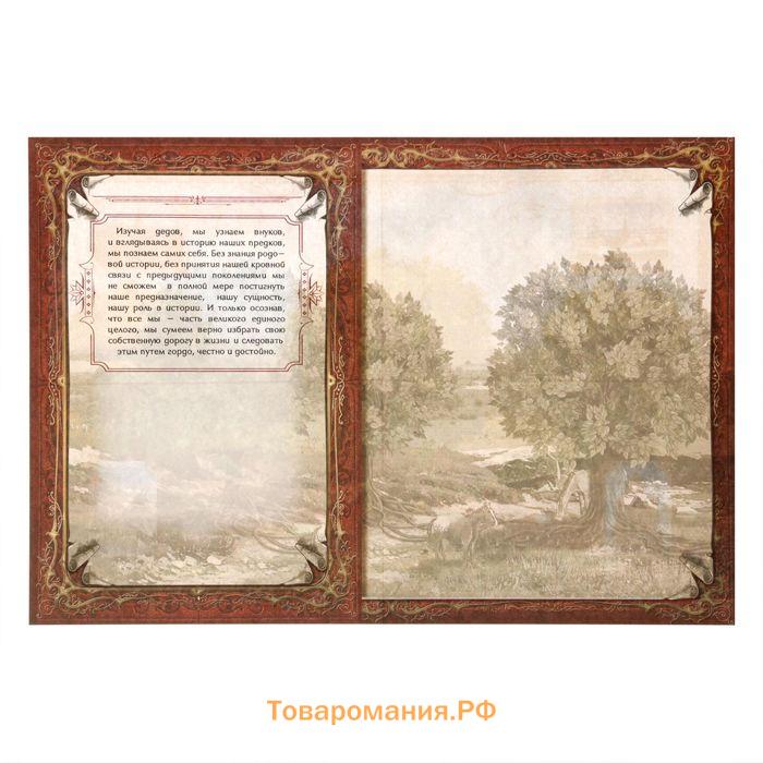 Родословная книга в шкатулке «Древо жизни», 56 листов, 20 х 26 см