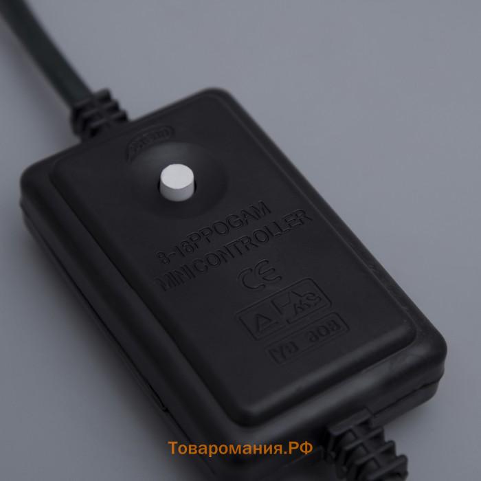 Контроллер Lighting для светового шнура 11 мм, 8 режимов, 220 В, 2-pin