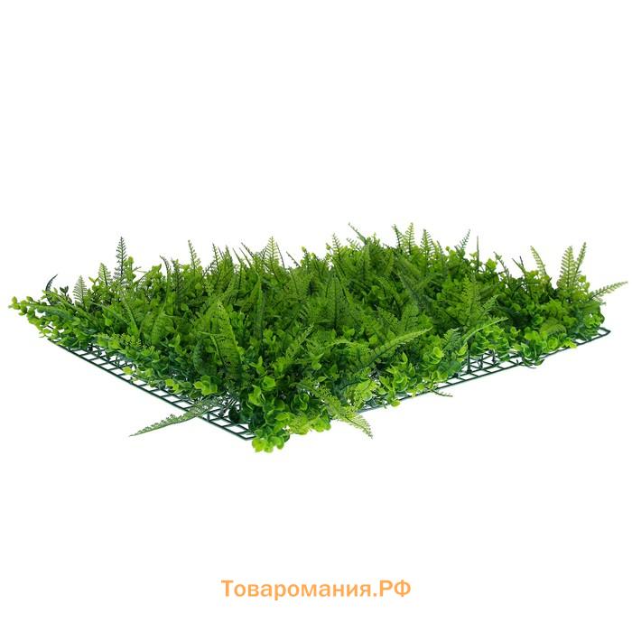 Декоративная панель, 60 × 40 см, «Самшит, Папоротник», Greengo