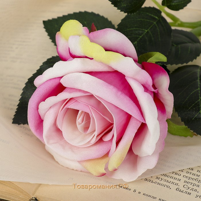 Цветы искусственные "Роза венесуэльская" 8х23 см, розовый