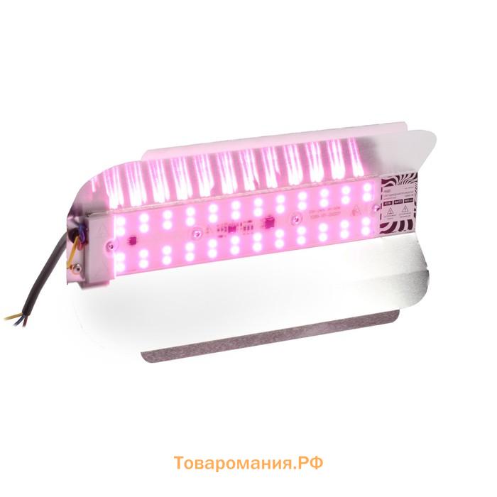 Фитопрожектор для растений Lighting СДО09-50, светодиодный, 50 Вт, IP65, 220 В, бескорпусный, мультиспектральный