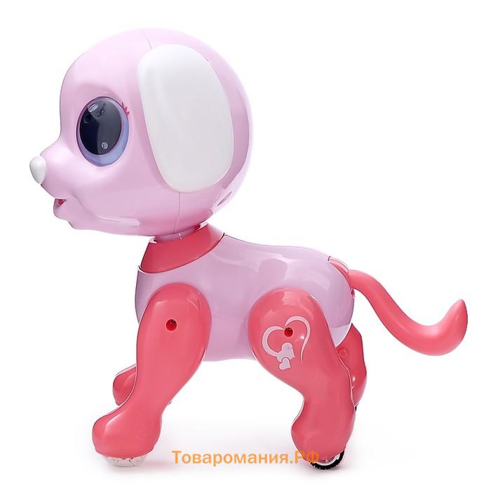 Робот собака «Питомец» WOOW TOYS, на пульте управления, интерактивный: звук, свет, танцующий, на аккумуляторе, розовый