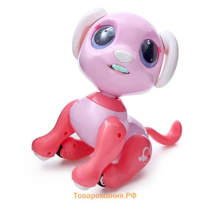 Робот собака «Питомец» WOOW TOYS, на пульте управления, интерактивный: звук, свет, танцующий, на аккумуляторе, розовый