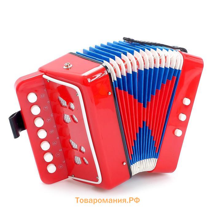 Игрушка музыкальная «Гармонь», цвета МИКС