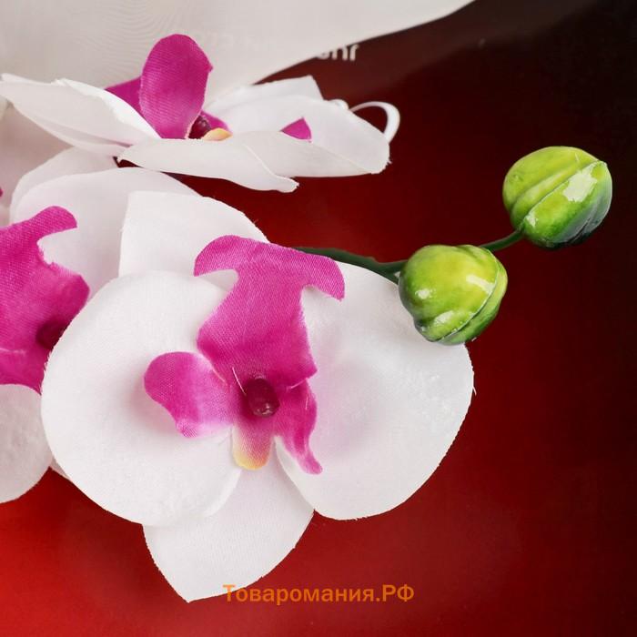 Цветы искусственные "Орхидея пышность" 60 см, белый