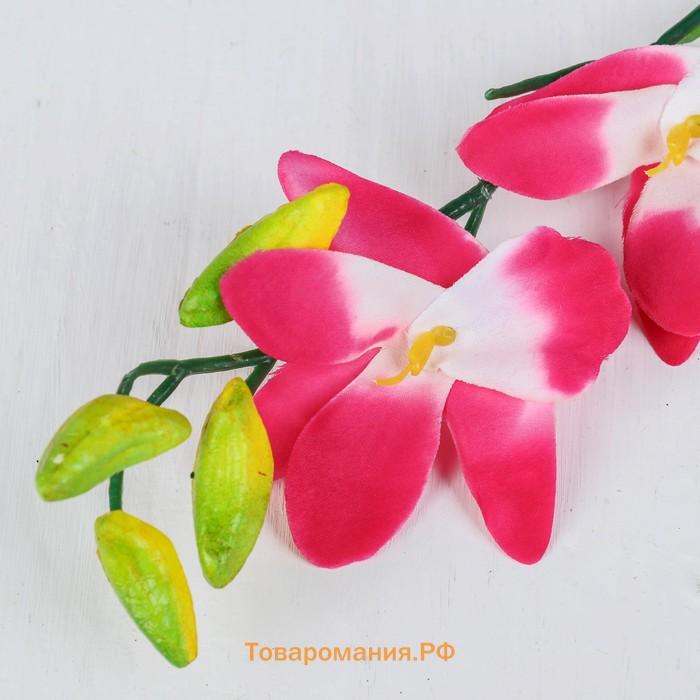Цветы искусственные "Орхидея Гуарианте" 70 см, розовый