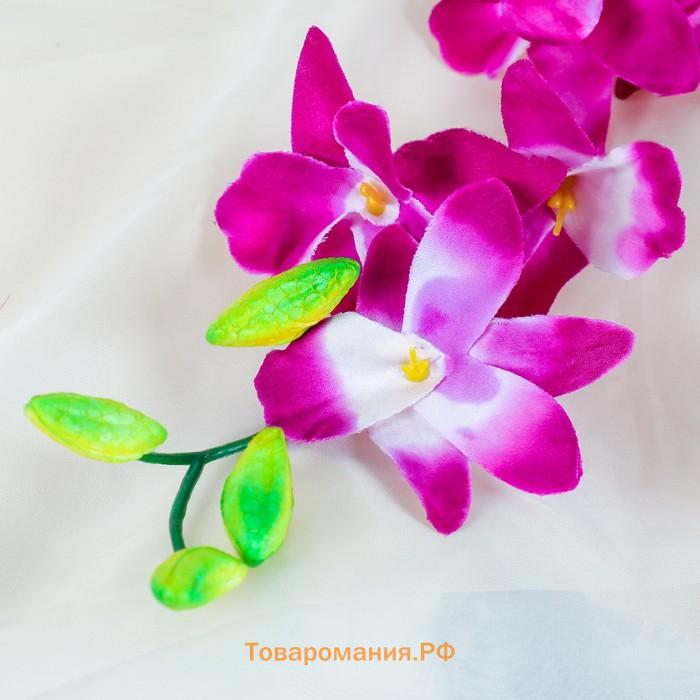 Цветы искусственные "Орхидея гастрорхис" 70 см, бело-фиолетовый