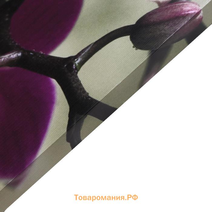 Картина на холсте "Экзотическая орхидея" 60х100 см