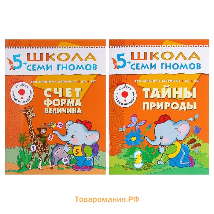 Книги детские набор «Полный годовой курс от 5 до 6 лет», 12 книг с играми и наклейками, Денисова Д.