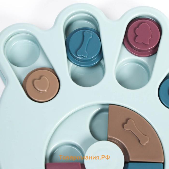 Игрушка интеллектуальная для лакомств "Лапа", 24 х 23,5 х 3 см, голубая