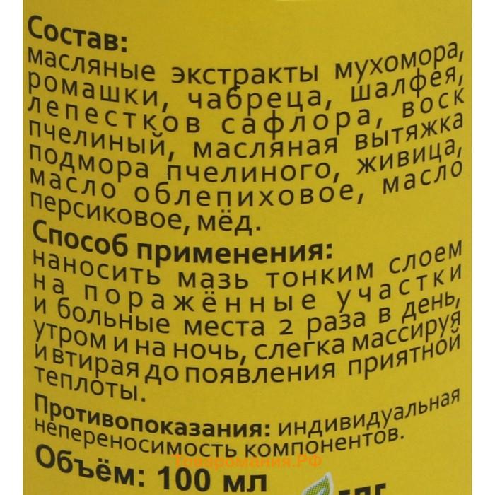 Мазь монастырская Живица и мухомор, Архыз, 100 мл