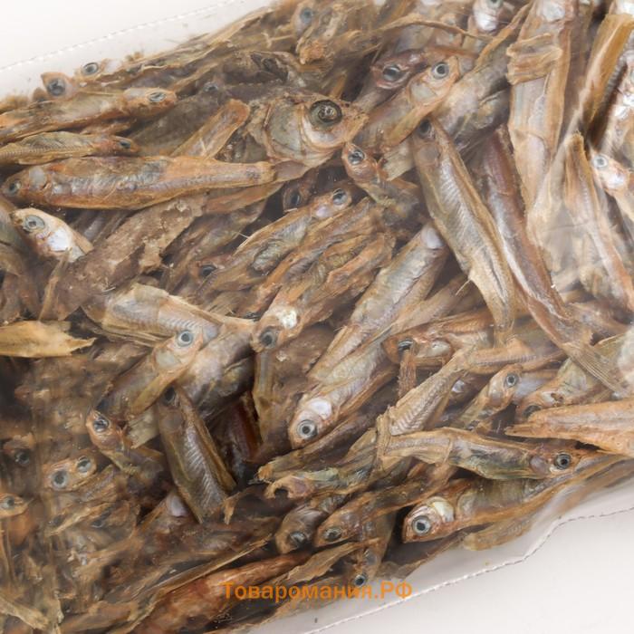 Корм сухой  "Рыбка-silver" природный, для рептилий, коробка, 20 г