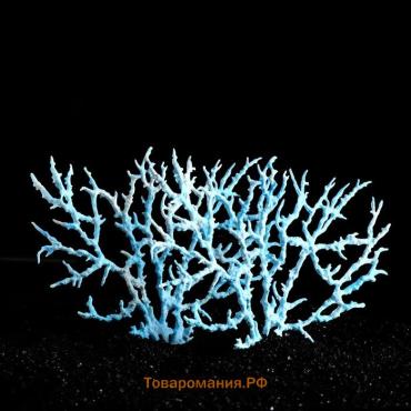 Коралл пластиковый большой 24,5 х 4 х 19 см, голубой