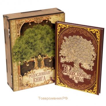Родословная книга в шкатулке «Древо жизни», 56 листов, 20 х 26 см