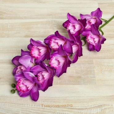Цветы искусственные "Орхидея амабилис" 90 см, сиреневый