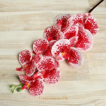 Цветы искусственные "Орхидея Тигровая" 90 см, красно-белый