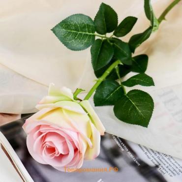 Цветы искусственные "Роза экспрессия" 9,5х66 см, розовый