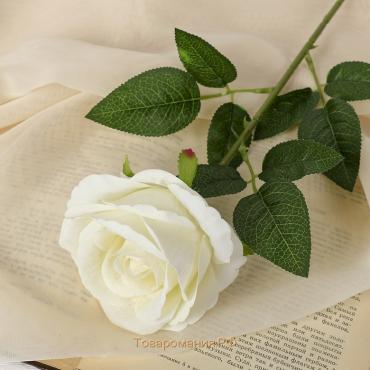 Цветы искусственные «Роза боливийская» 8х55 см, белый