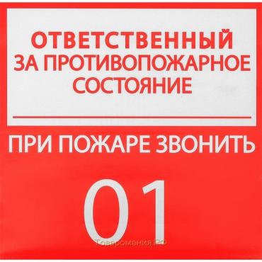 Наклейка знак "Ответственный за противопожарное состояние", 20х20 см