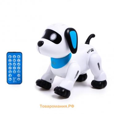 Робот «Пультовод собачка», на дистанционном управлении, русский чип, световые эффекты